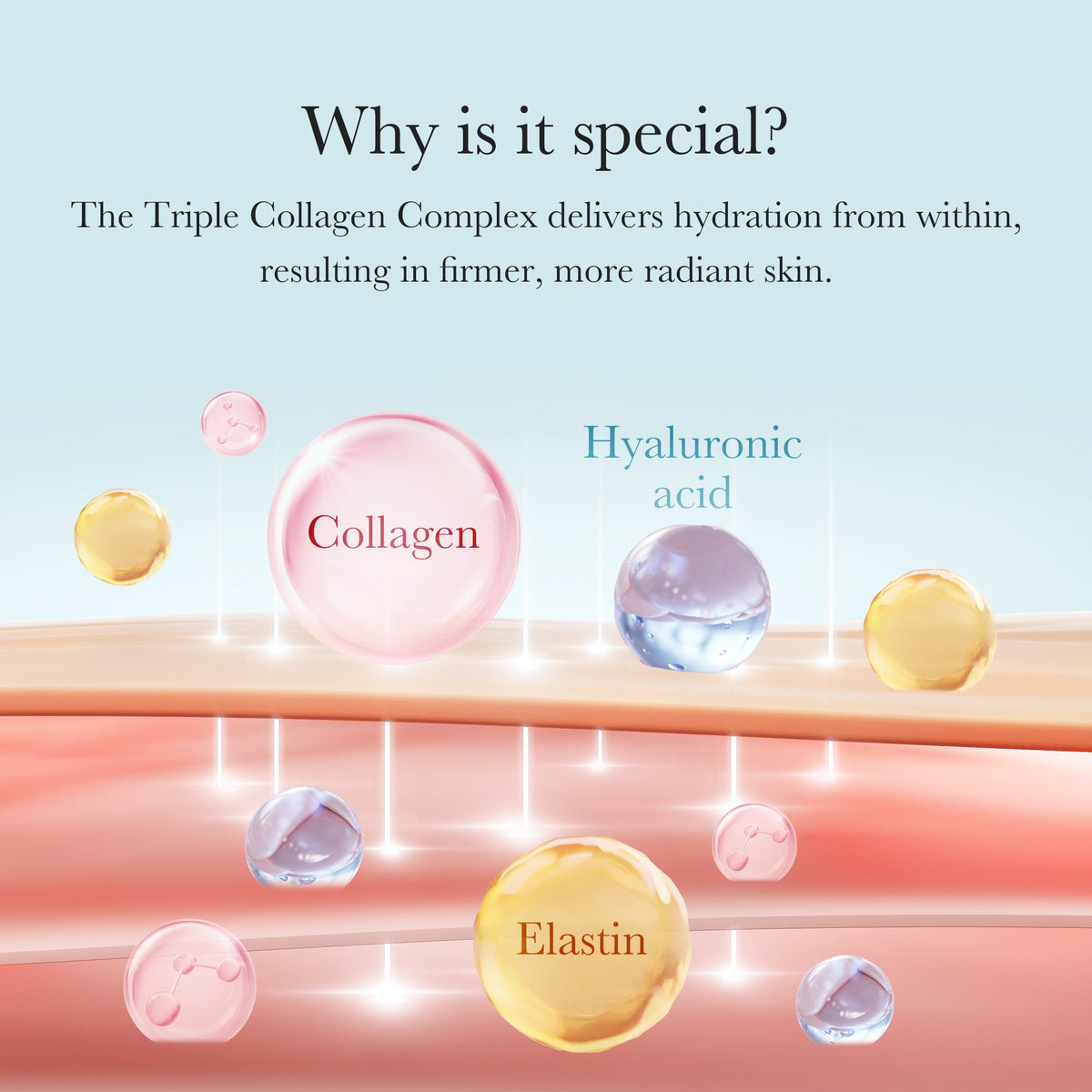triple-collagen-cream-a2 04_8e4e330d-7d9c-4ff0-93ec-ea541093220c.jpg